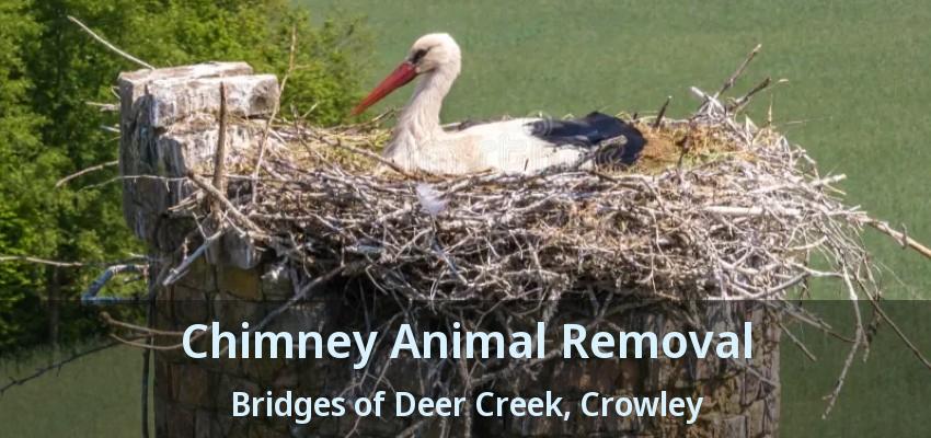 Chimney Animal Removal Bridges of Deer Creek, Crowley - TX