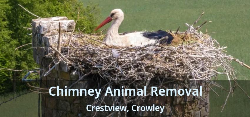 Chimney Animal Removal Crestview, Crowley - TX