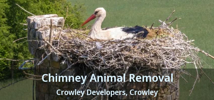 Chimney Animal Removal Crowley Developers, Crowley - TX
