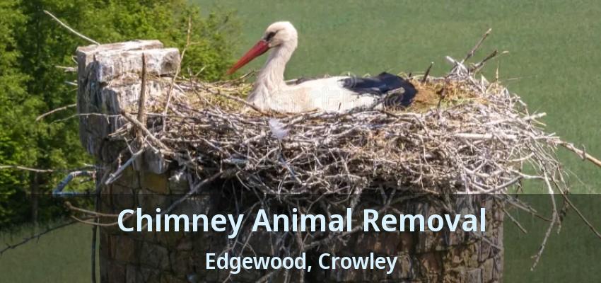 Chimney Animal Removal Edgewood, Crowley - TX