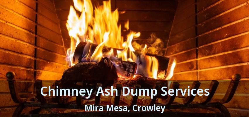 Chimney Ash Dump Services Mira Mesa, Crowley - TX