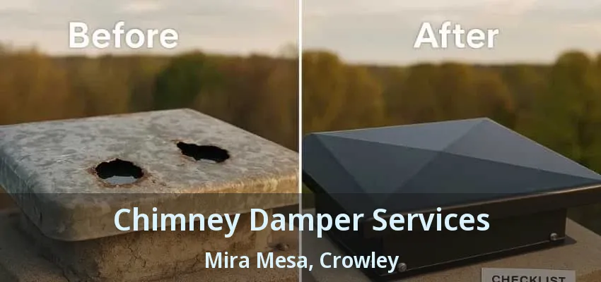 Chimney Damper Services Mira Mesa, Crowley - TX
