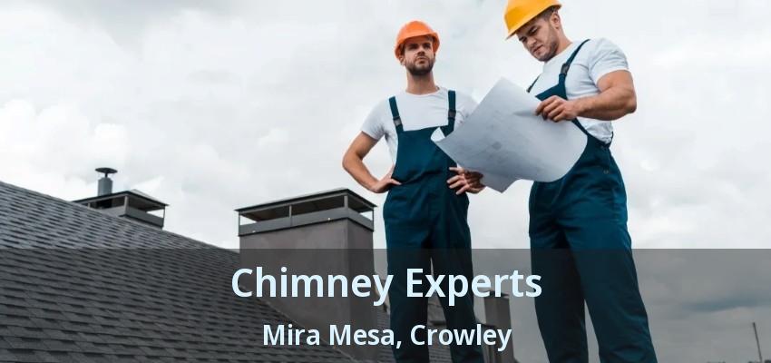 Chimney Experts Mira Mesa, Crowley - TX