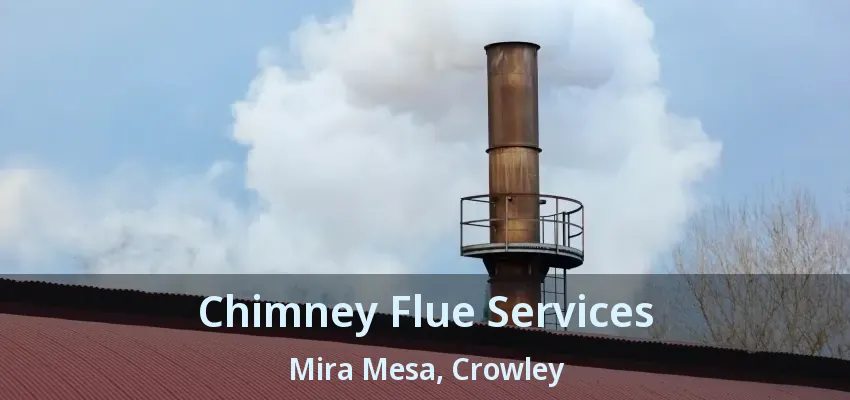 Chimney Flue Services Mira Mesa, Crowley - TX