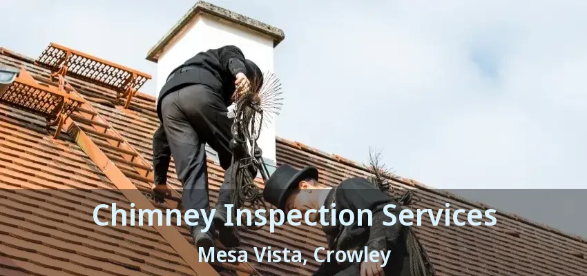 Chimney Inspection Services Mesa Vista, Crowley - TX