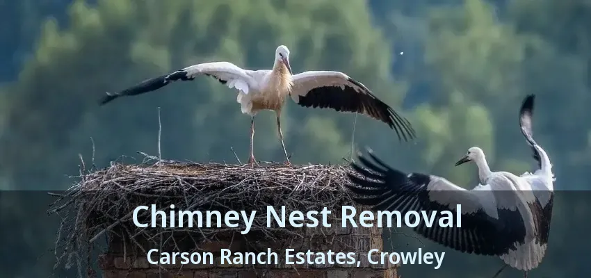 Chimney Nest Removal Carson Ranch Estates, Crowley - TX