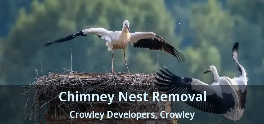 Chimney Nest Removal Crowley Developers, Crowley - TX