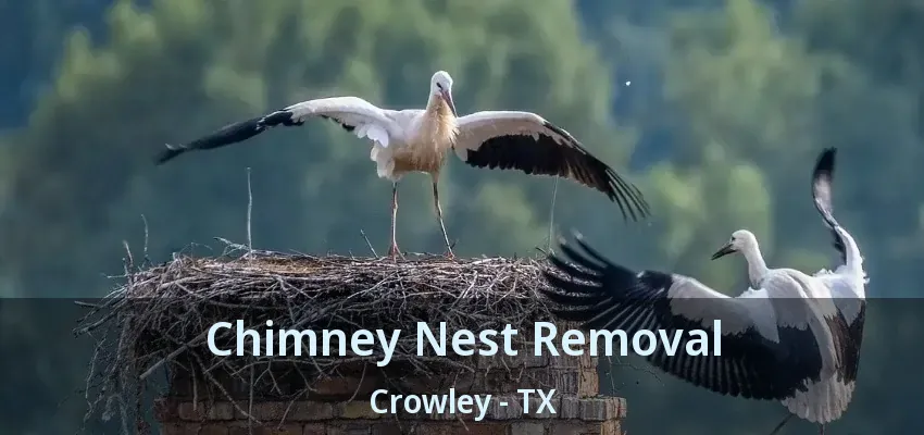 Chimney Nest Removal Crowley - TX