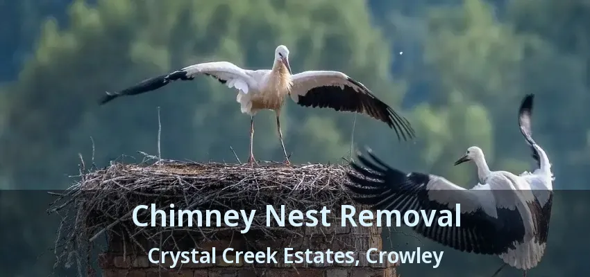 Chimney Nest Removal Crystal Creek Estates, Crowley - TX