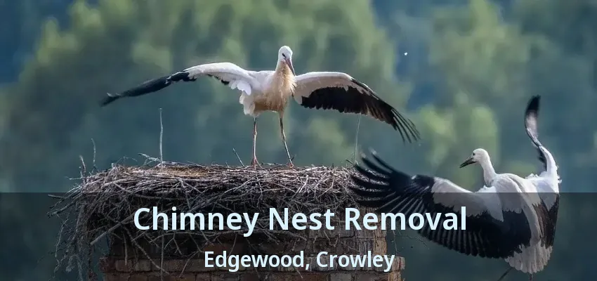 Chimney Nest Removal Edgewood, Crowley - TX