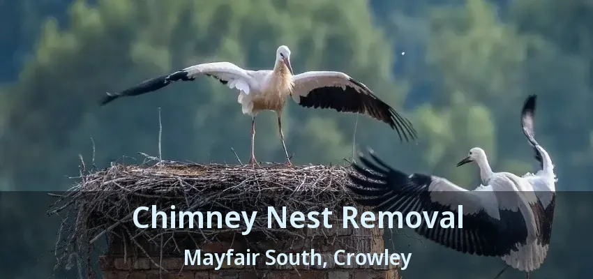 Chimney Nest Removal Mayfair South, Crowley - TX