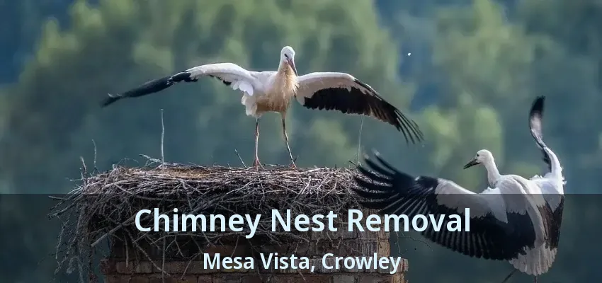 Chimney Nest Removal Mesa Vista, Crowley - TX