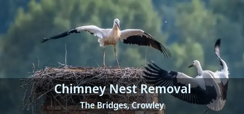 Chimney Nest Removal The Bridges, Crowley - TX