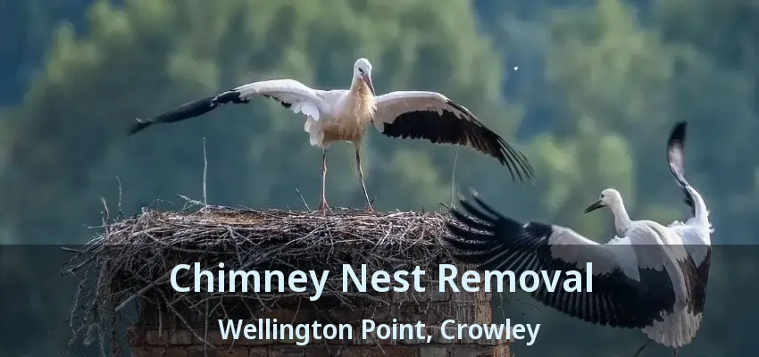 Chimney Nest Removal Wellington Point, Crowley - TX
