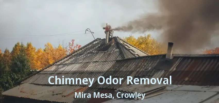 Chimney Odor Removal Mira Mesa, Crowley - TX