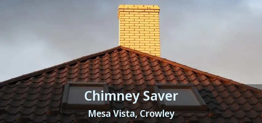 Chimney Saver Mesa Vista, Crowley - TX