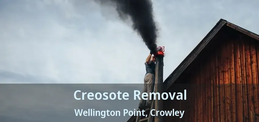 Creosote Removal Wellington Point, Crowley - TX