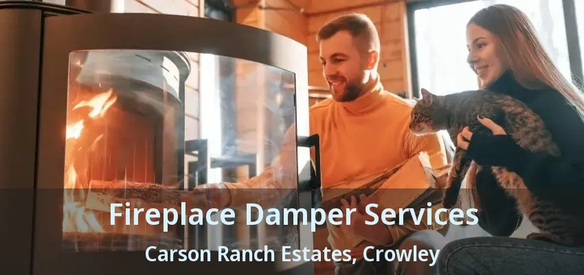 Fireplace Damper Services Carson Ranch Estates, Crowley - TX