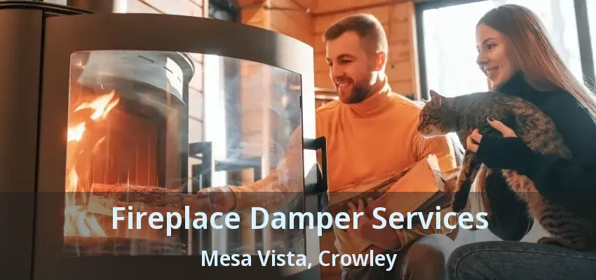 Fireplace Damper Services Mesa Vista, Crowley - TX
