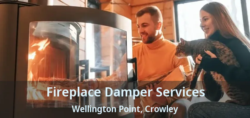 Fireplace Damper Services Wellington Point, Crowley - TX