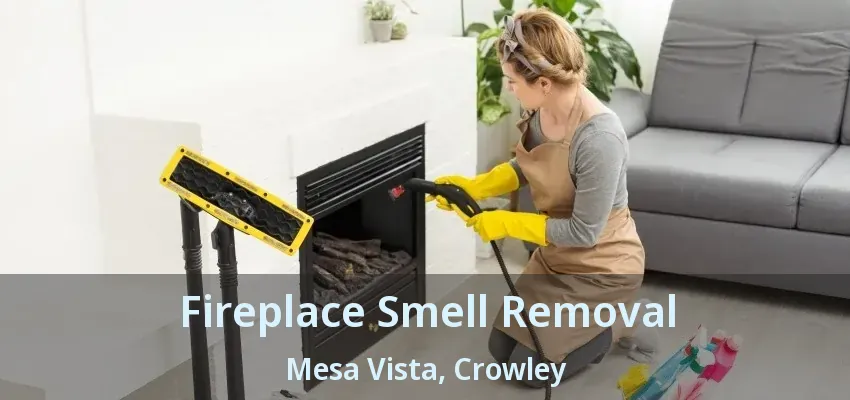 Fireplace Smell Removal Mesa Vista, Crowley - TX