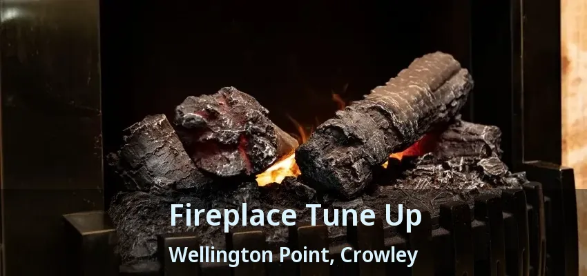 Fireplace Tune Up Wellington Point, Crowley - TX