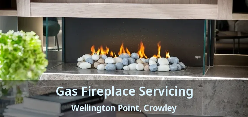 Gas Fireplace Servicing Wellington Point, Crowley - TX