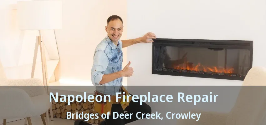 Napoleon Fireplace Repair Bridges of Deer Creek, Crowley - TX