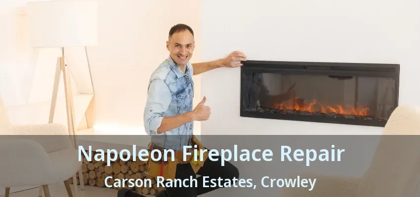 Napoleon Fireplace Repair Carson Ranch Estates, Crowley - TX