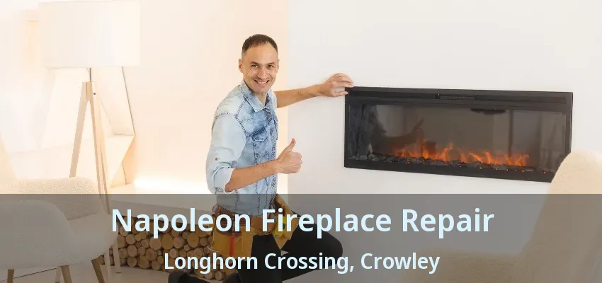 Napoleon Fireplace Repair Longhorn Crossing, Crowley - TX