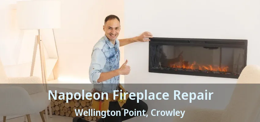 Napoleon Fireplace Repair Wellington Point, Crowley - TX