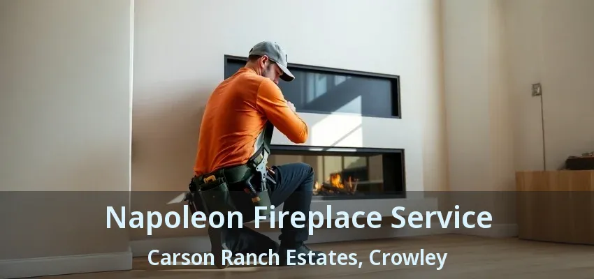 Napoleon Fireplace Service Carson Ranch Estates, Crowley - TX