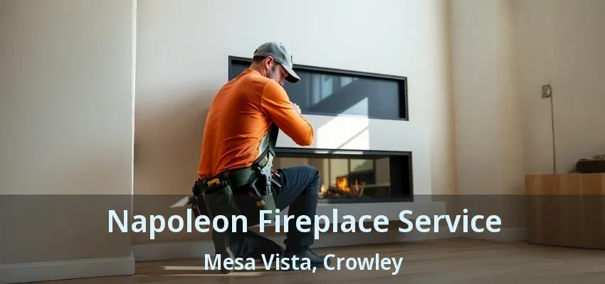 Napoleon Fireplace Service Mesa Vista, Crowley - TX