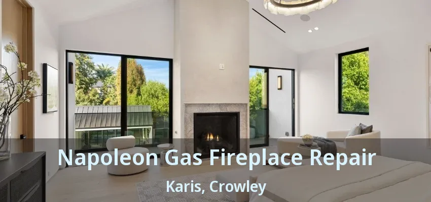 Napoleon Gas Fireplace Repair Karis, Crowley - TX