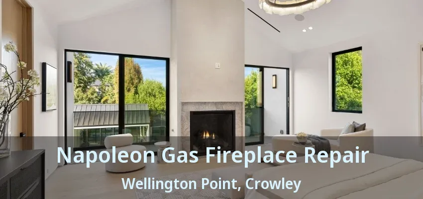 Napoleon Gas Fireplace Repair Wellington Point, Crowley - TX