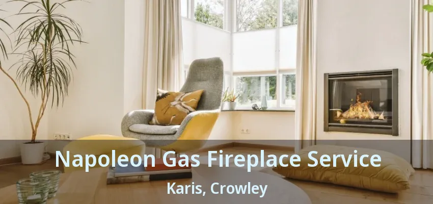 Napoleon Gas Fireplace Service Karis, Crowley - TX