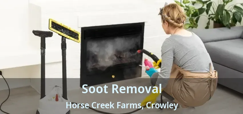 Soot Removal Horse Creek Farms, Crowley - TX