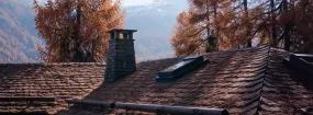 Chimney Animal Removal Crowley