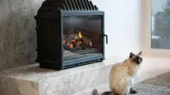 Wood Burning Fireplace Repair Crowley